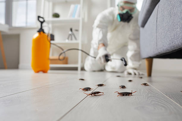 Commercial Kitchen Cockroach Control in Pooler